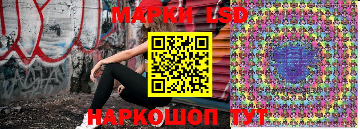 Наркотические марки 1,5мг  Марки 25I-NBOMe  Курчалой  Вход с VPN  Наркотические марки 1,5мг 
