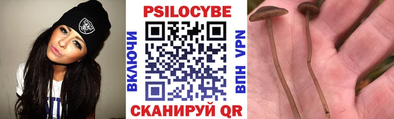 где купить наркоту  Курчалой  Галлюциногенные грибы Magic Shrooms 