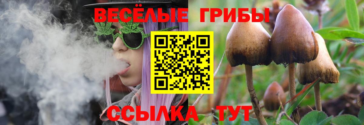 Галлюциногенные грибы MAGIC MUSHROOMS Курчалой